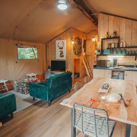 Cosy Forest Lodge Penrhos  Kültér fotó