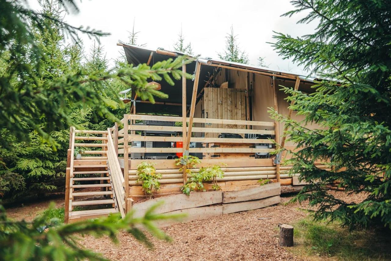 Cosy Forest Lodge Penrhos  Kültér fotó