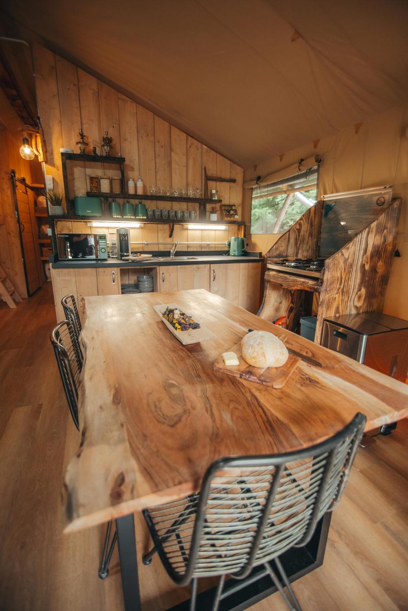 Cosy Forest Lodge Penrhos  Kültér fotó