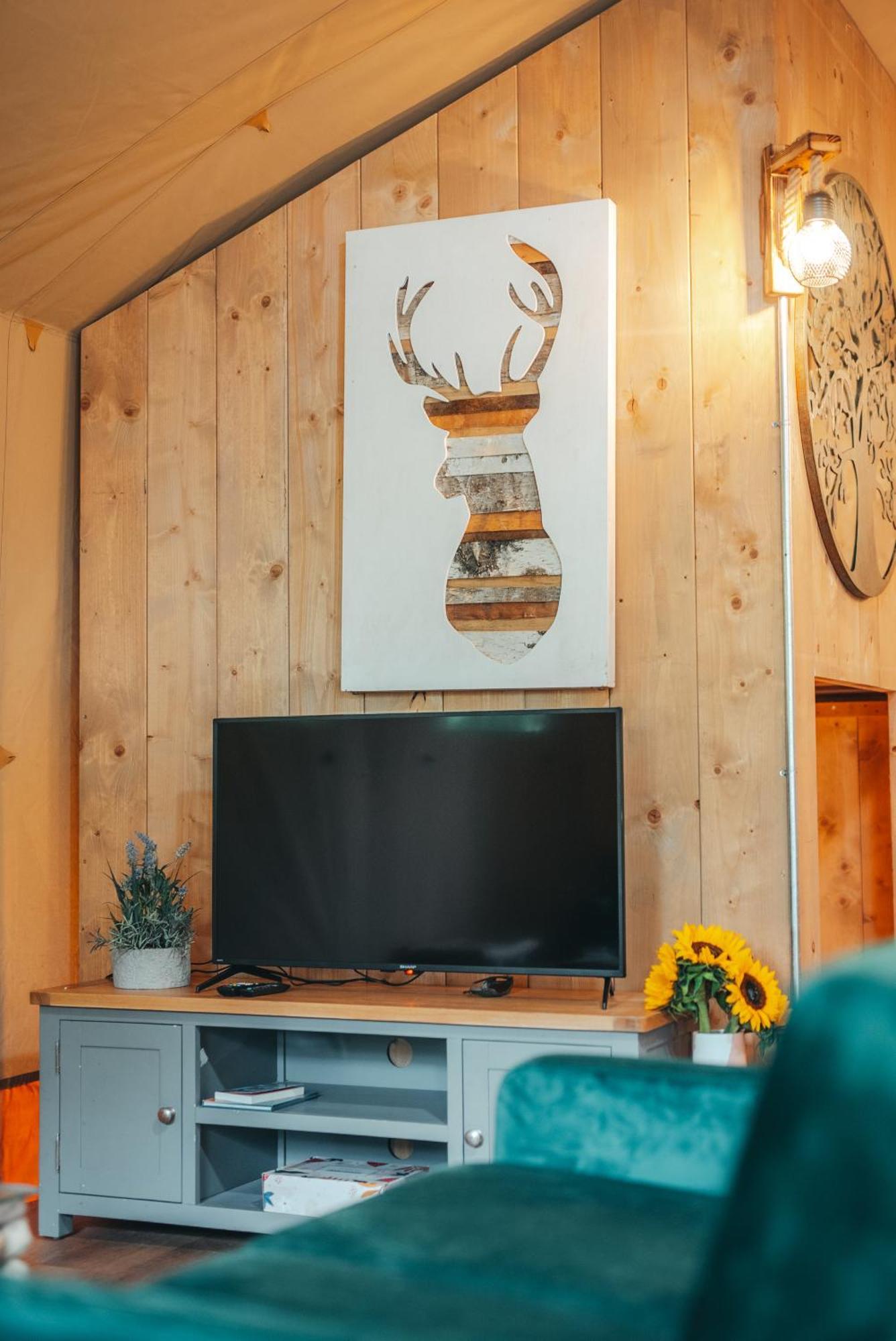 Cosy Forest Lodge Penrhos  Kültér fotó